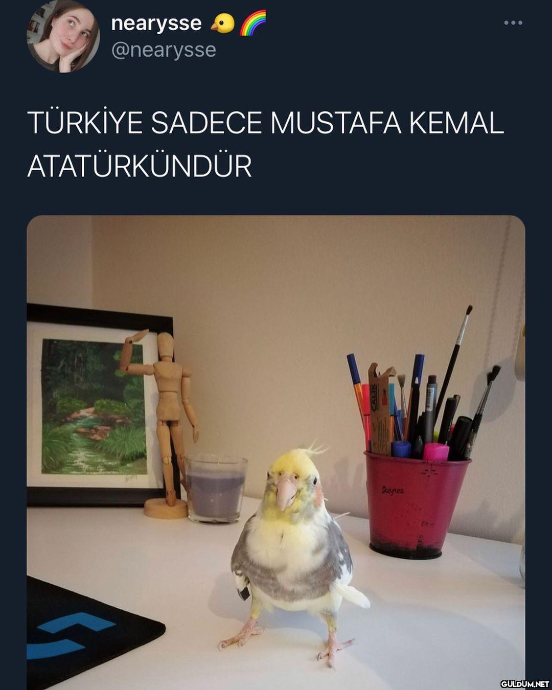 duruşa bak MAMDÖEÖVL ...
