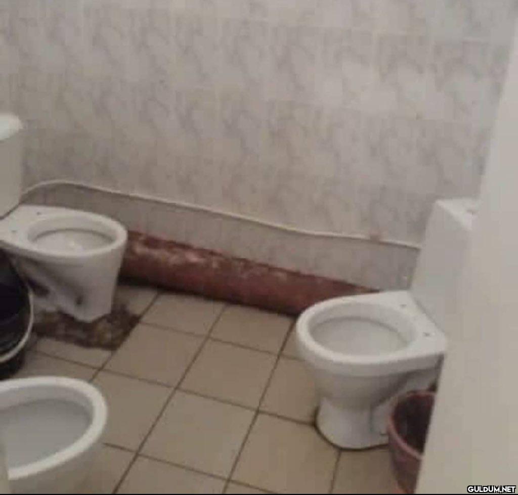 Dostlar meclisi    Kaynak