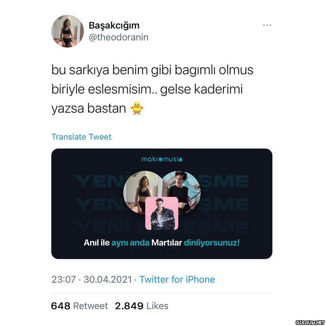 Martılarda eşleşmek mi?...
