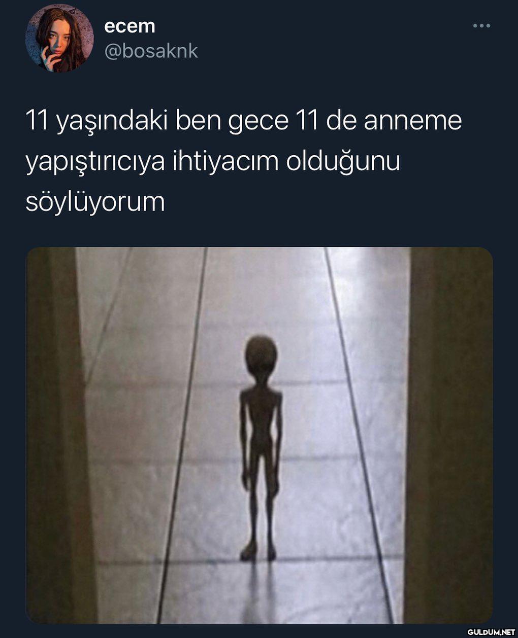 ecem •.. @bosaknk 11...