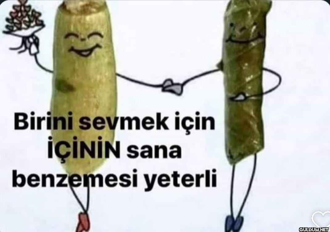 Birini sevmek için İÇİNİN...