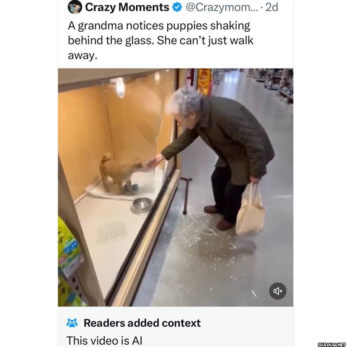 2d A grandma notices...