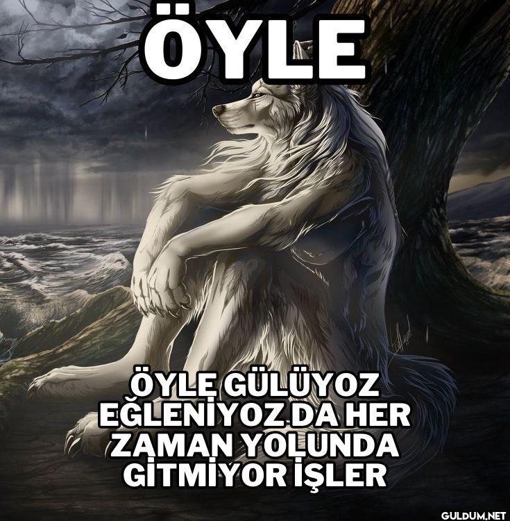 OYLE ÖYLE GÜLÜYOZ...