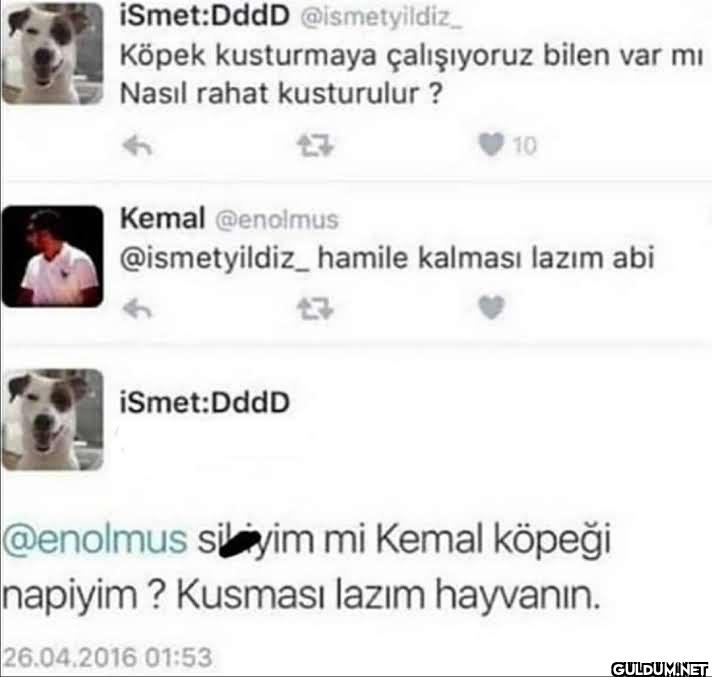 Köpek kusturmaya...