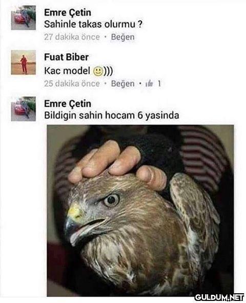Emre Çetin'in şahin...