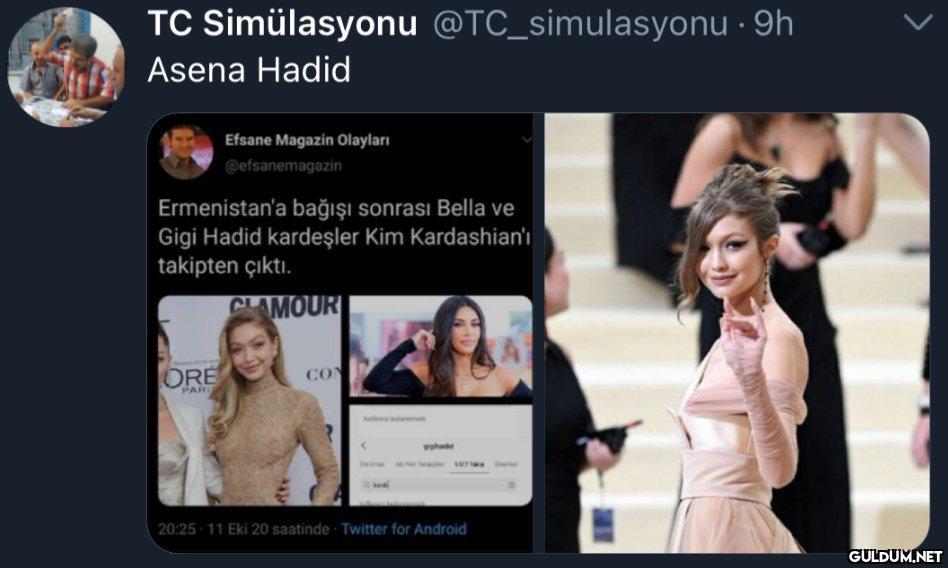 TC Simülasyonu...