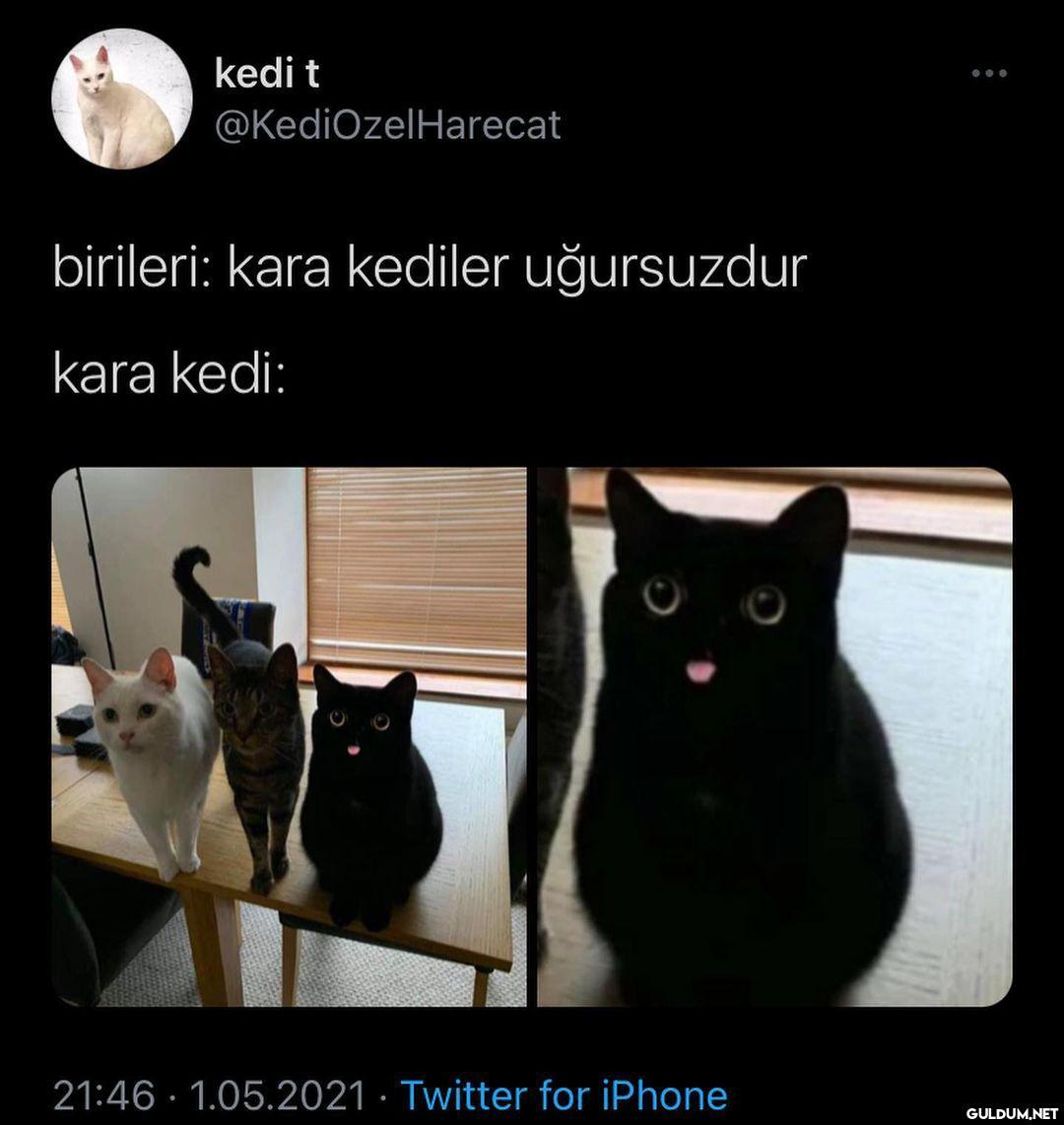 ugursuz olma ihtimali 0...