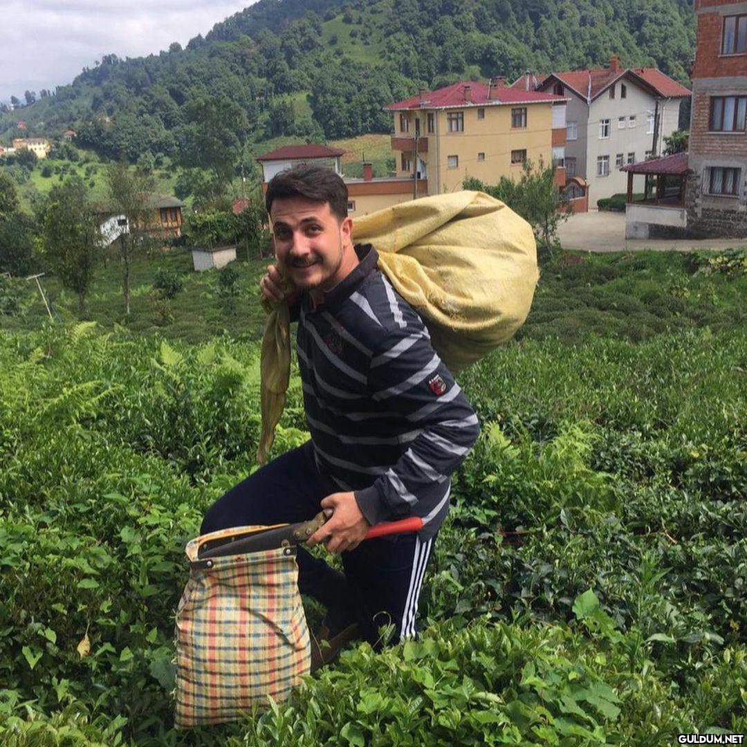 Furkan Akbulut...