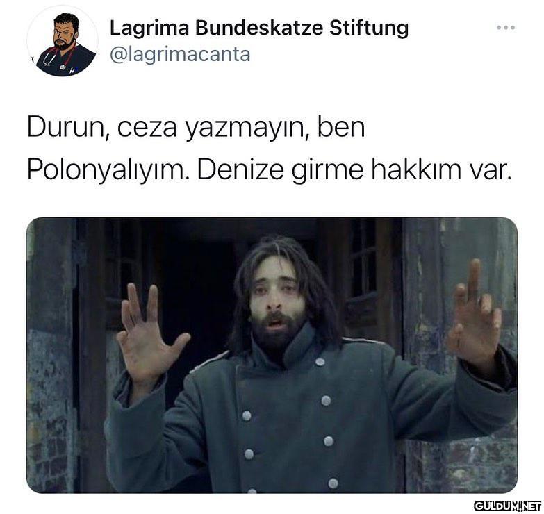 Lagrima Bundeskatze...
