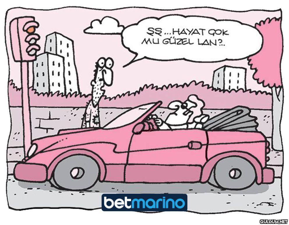 Kapanmayı yazlıkta...
