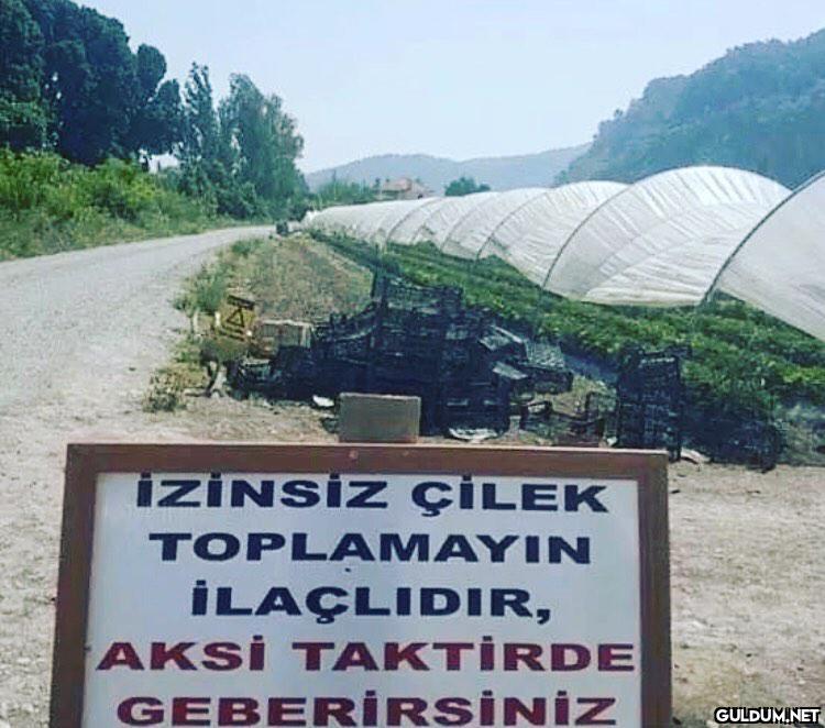 uyarıyı gargamel mi...