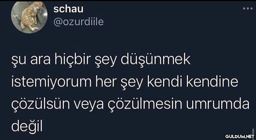 yanlışlıkla bu evreye...