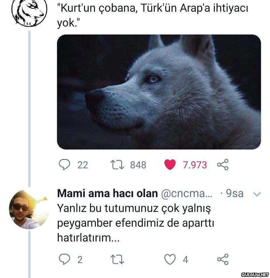 "Kurt'un çobana, Türk'ün...