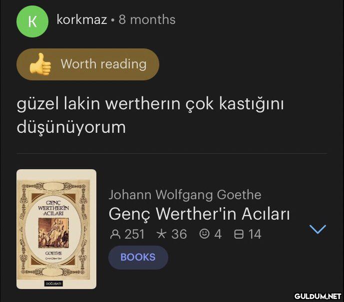 book review budur...