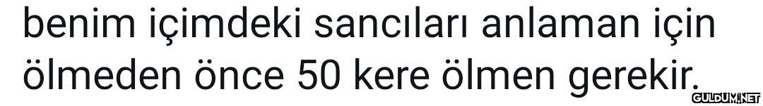 @satrayni Kapak fotoğrafı...
