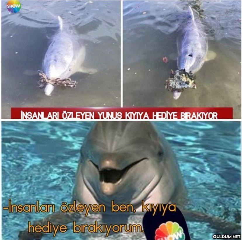 Açıklama gelmiş  SHOW...