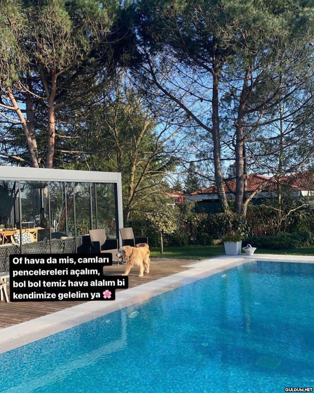 Of hava da mis, camları...