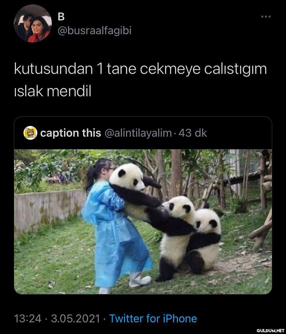 döwmxöemxöeöxçeldlelpd  B...