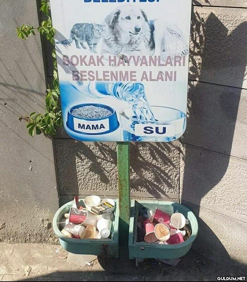 Bunlar eğitilmezdir   ...