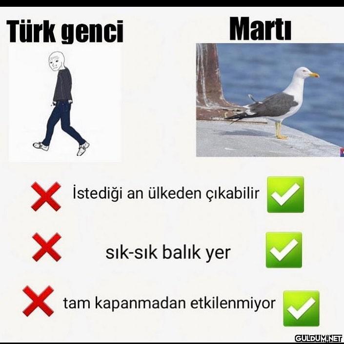 Bazen martı olmak istersin...