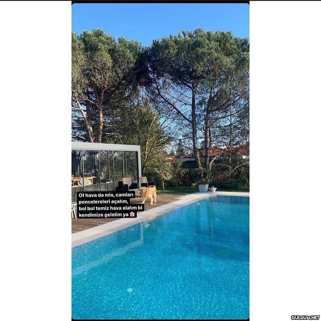 Zenginlerin boş...