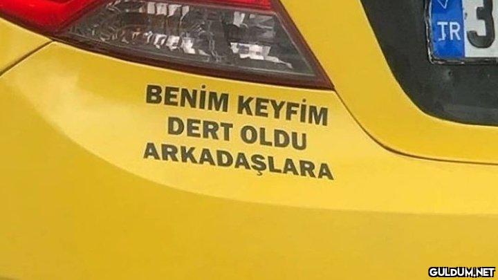https://t.co/v8IexfsOky TR...