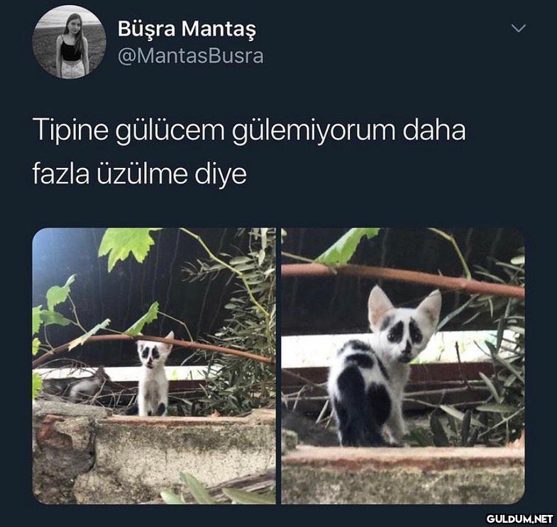 tipe bka 🥺🥺  Büşra Mantaş...
