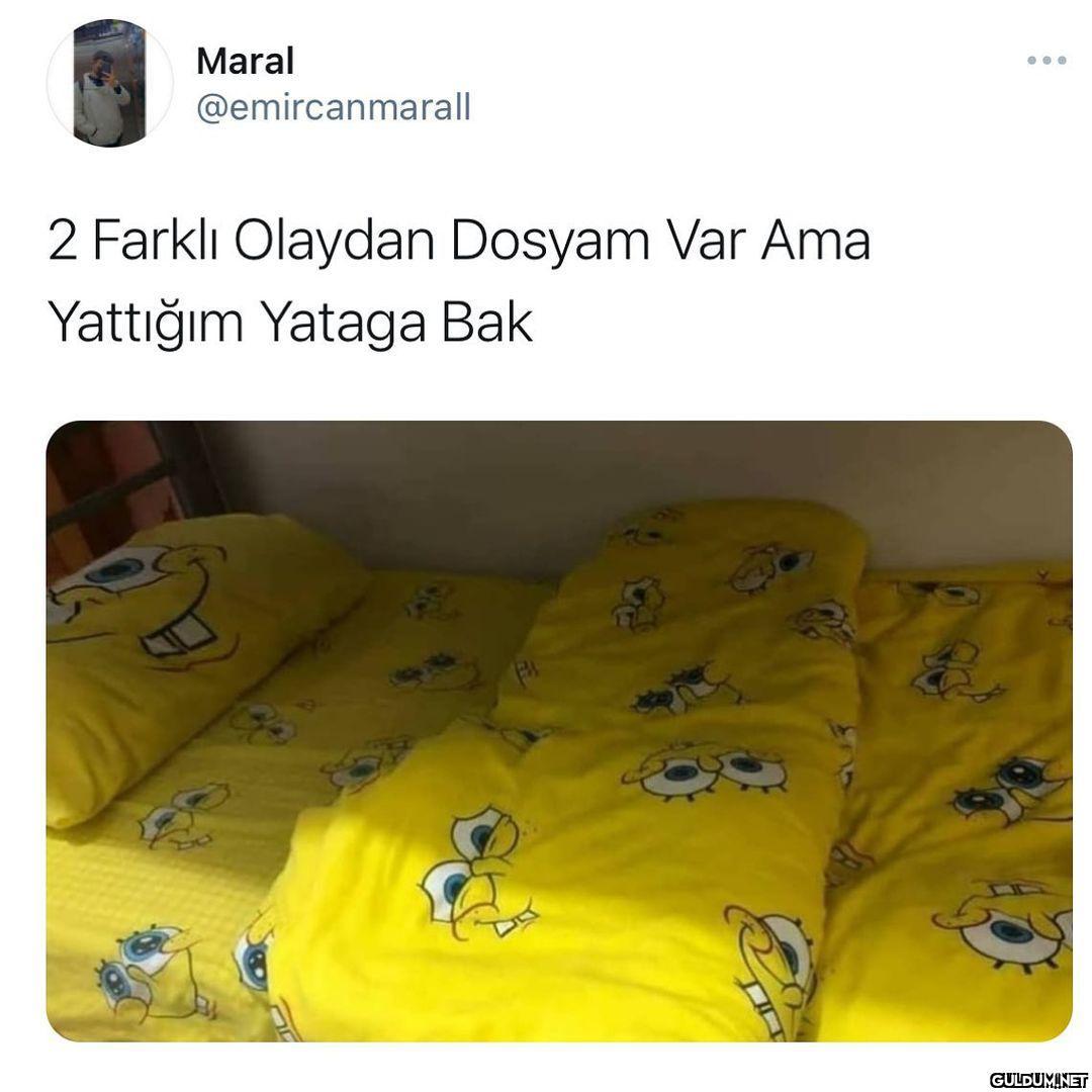 Erkek oğlu erkek yatağı ...