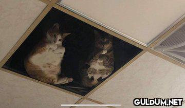 Bir güvenlik kamerasının...