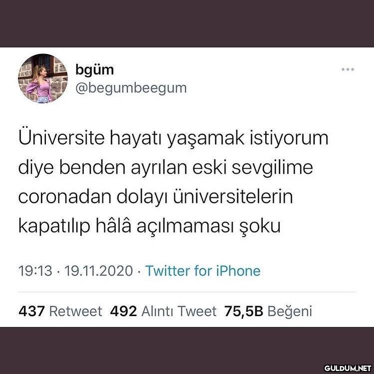 bgüm @begumbeegum...