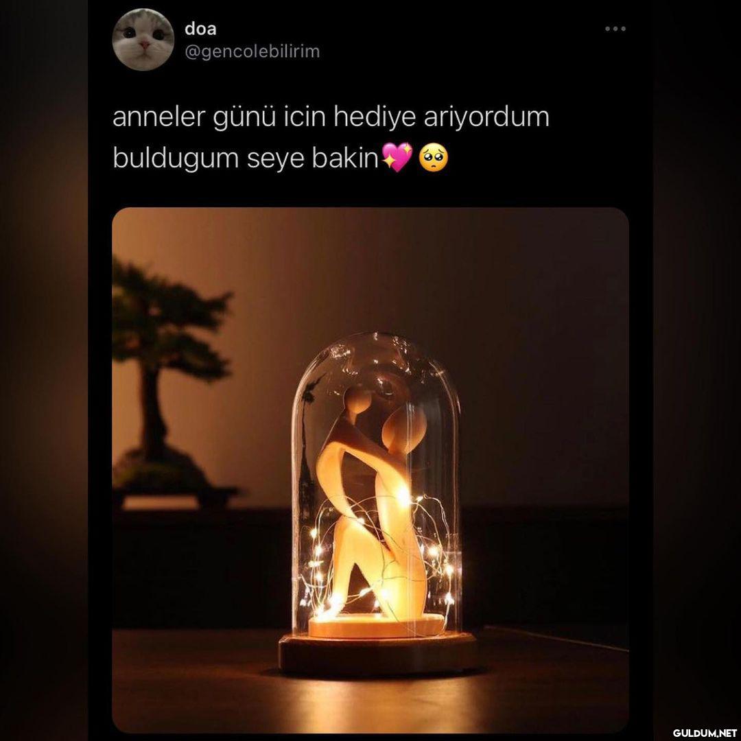 anlaşılan bu yıl alacağım...
