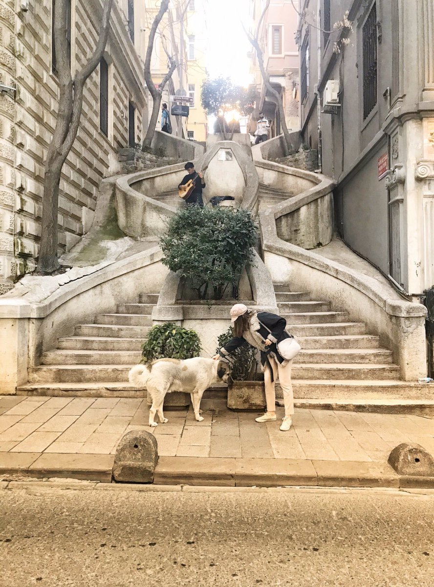 Galata kamondo...