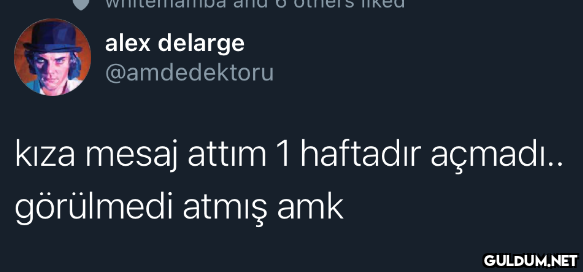 alex delarge @amdedektoru...