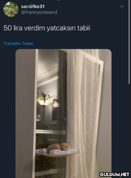 sariöfke31 @frannyonboard...