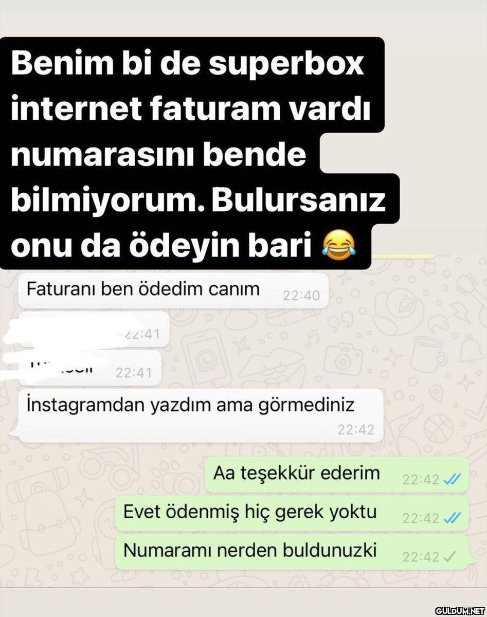 Ülkenin erkekleri ucuza...