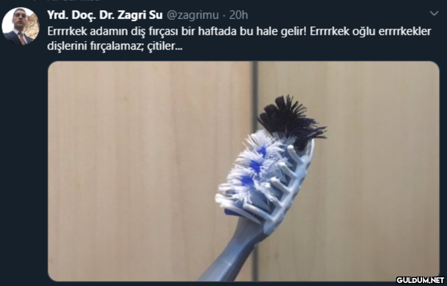 Yrd. Doç. Dr. Zagri Su...