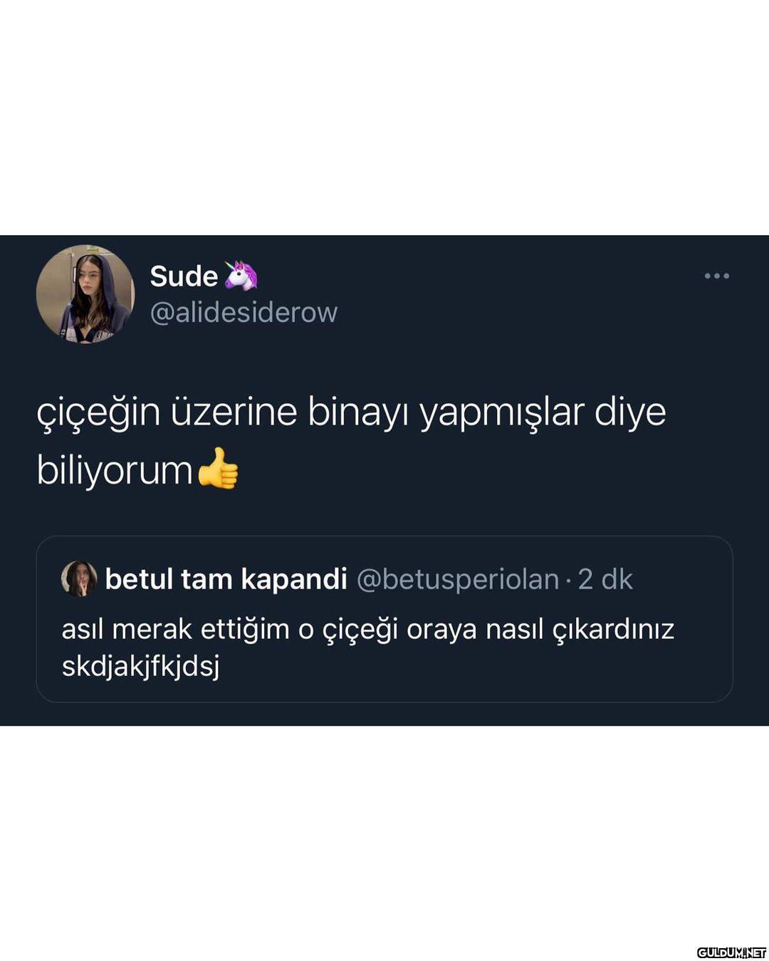 sondaki bilgi beni aşırı...