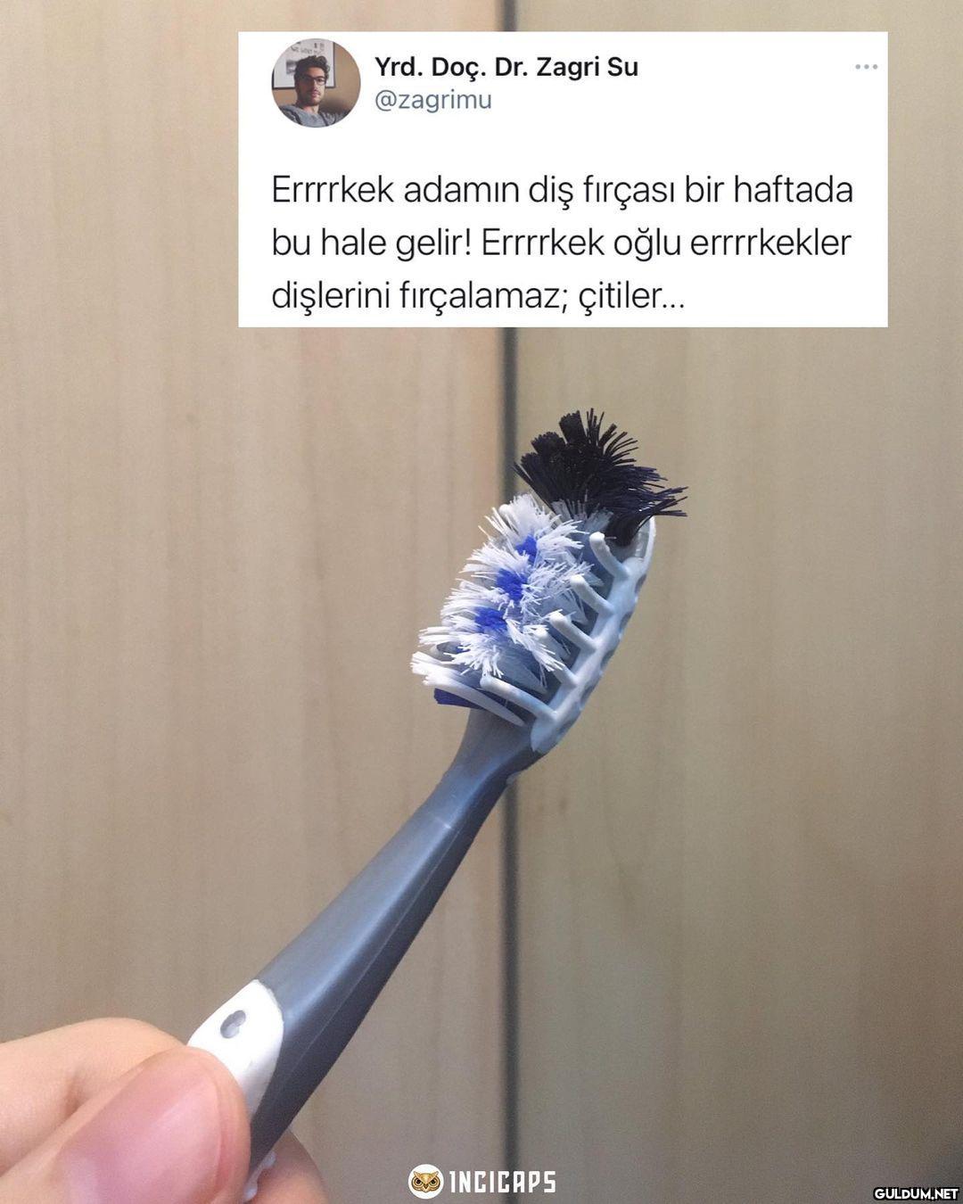 Yrd. Doç. Dr. Zagri Su...