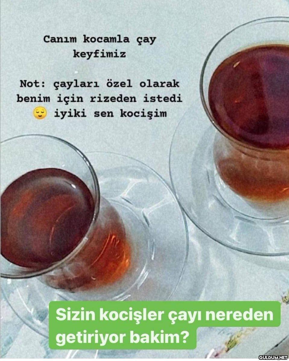Türkiye'de Rize dışında...
