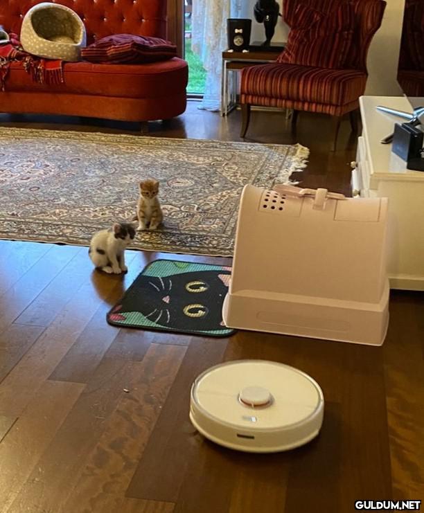 ülay @ulayk Robot...