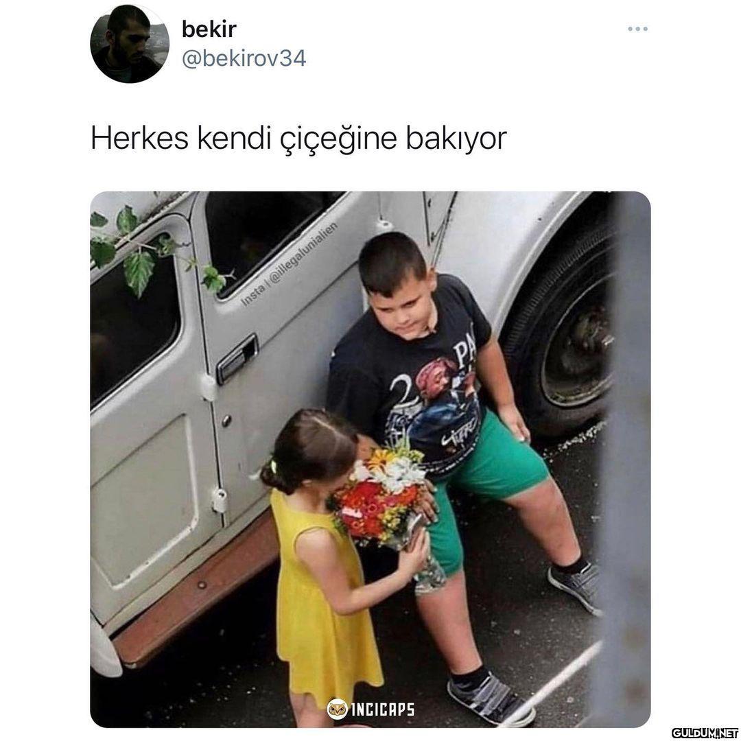 bekir @bekirov34 ......