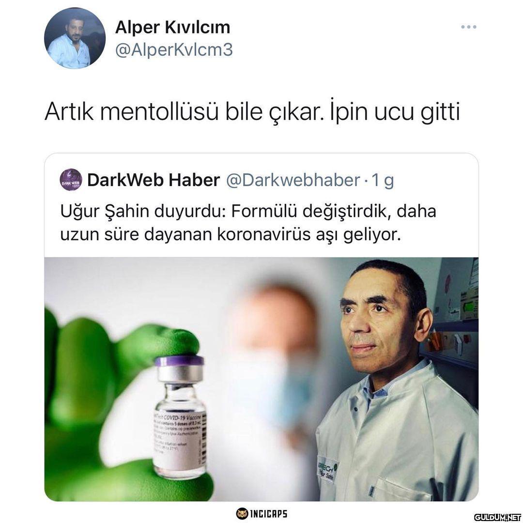 Anasonlu var mı ?  Alper...