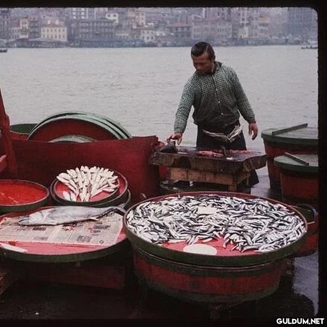 1960’larda İstanbul 😍
via:...