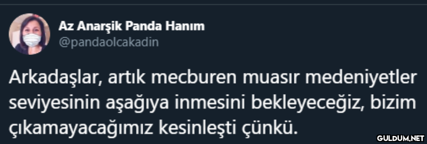 Az Anarşik Panda Hanım...