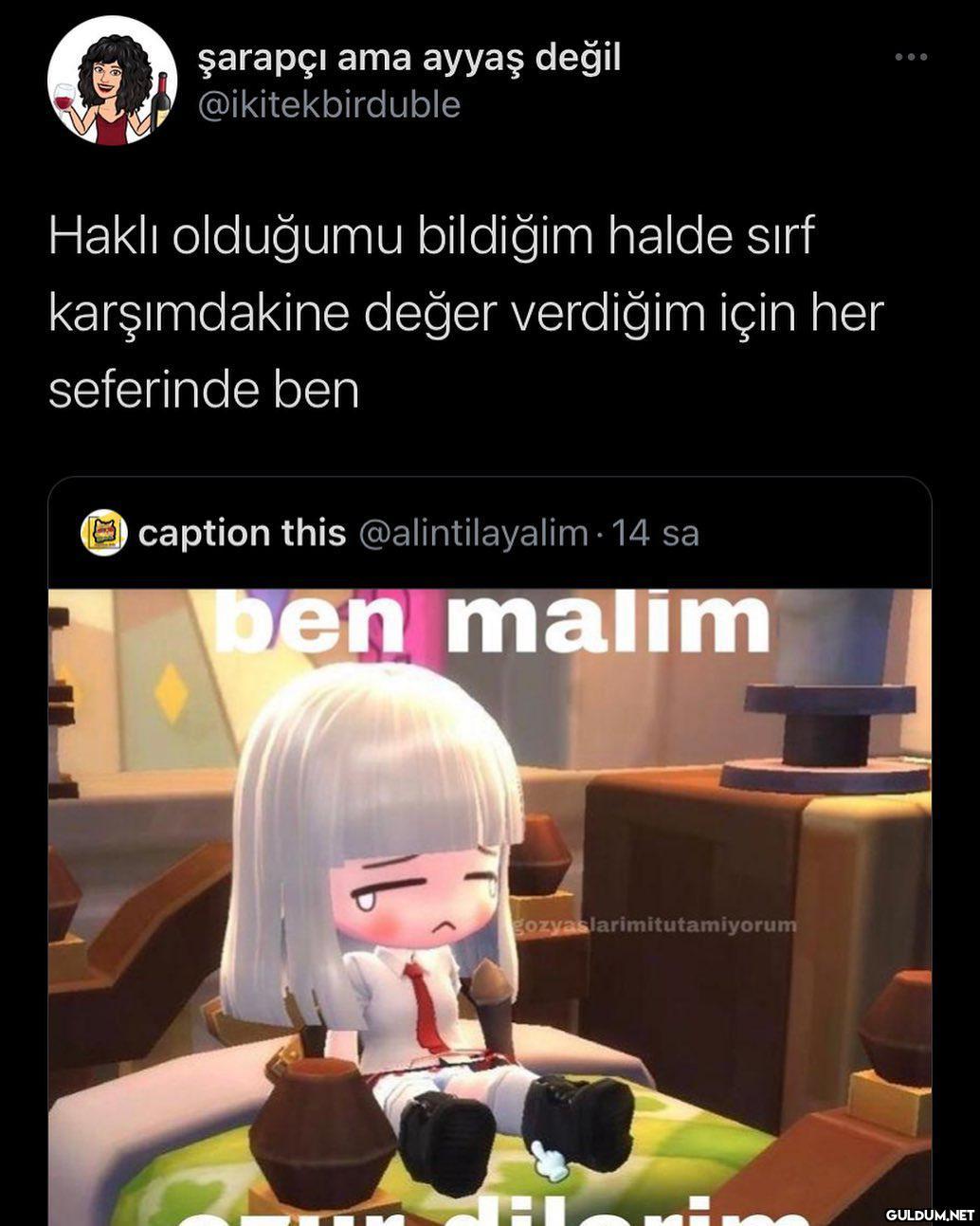 şarapçı ama ayyaş değil...