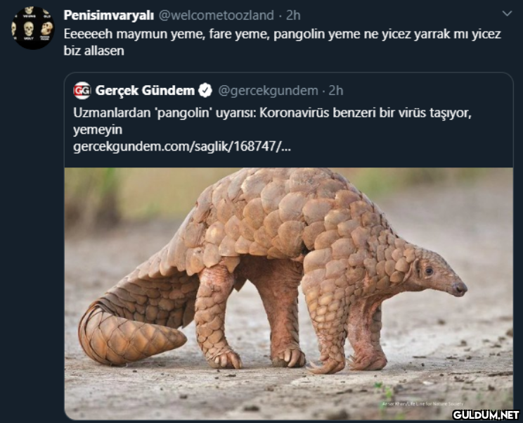 Penisimvaryalı...