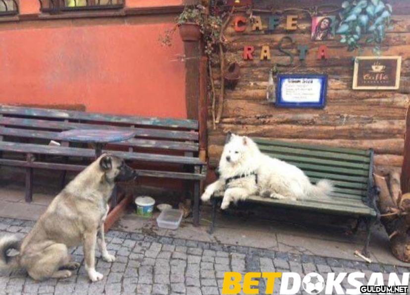 Biz vs turistler    CAFE...
