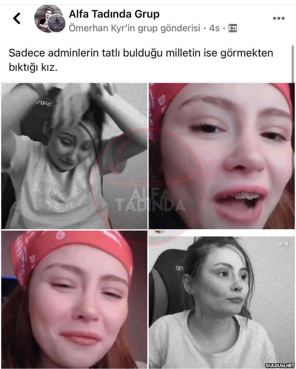 Alfa Tadında Grup Ömerhan...