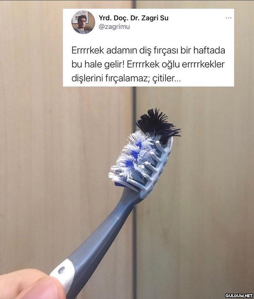Fırçayla savaşa girmiş ...