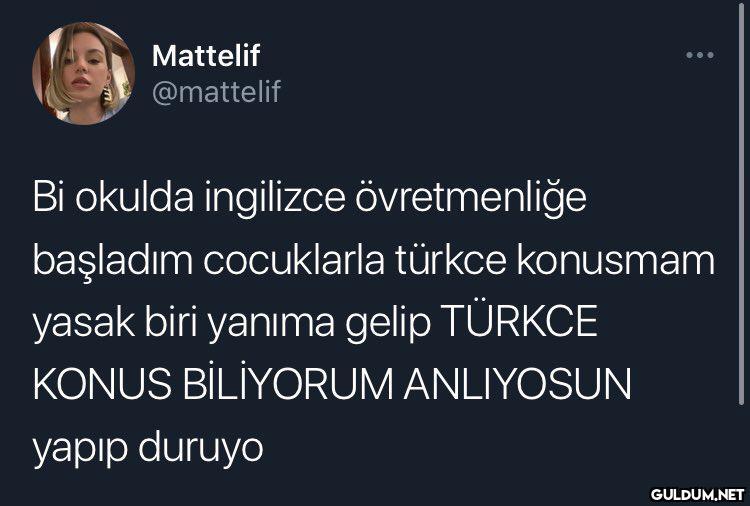 Mattelif @mattelif Bi...